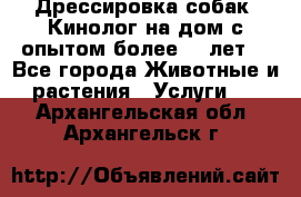 Дрессировка собак (Кинолог на дом с опытом более 10 лет) - Все города Животные и растения » Услуги   . Архангельская обл.,Архангельск г.